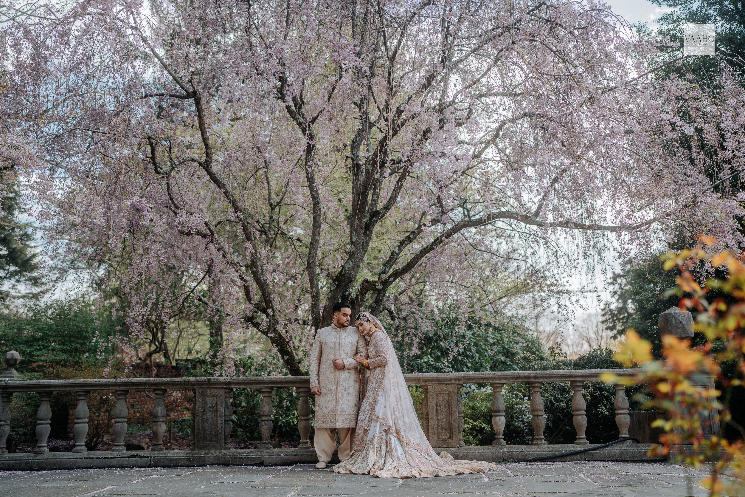 A Vaaho couple under a blossoming tree